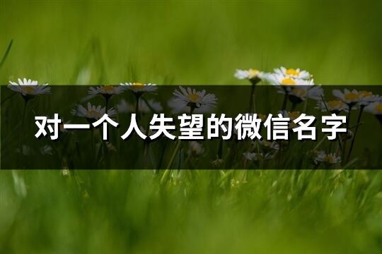 對一個人失望的微信名字(共111個)