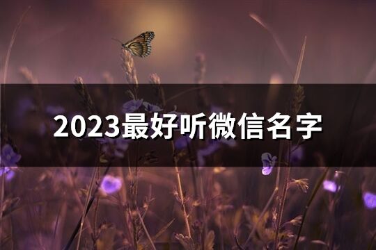 2023最好聽微信名字(精選2885個)