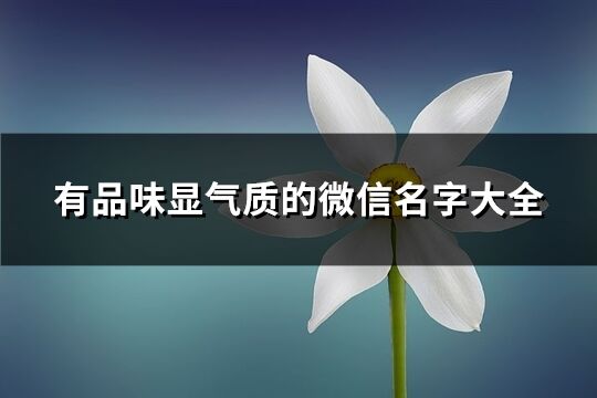 有品味顯氣質(zhì)的微信名字大全(1464個(gè))
