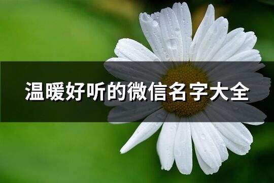 溫暖好聽的微信名字大全(精選796個)