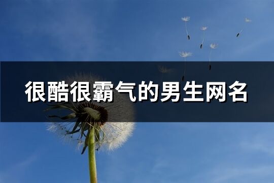 很酷很霸氣的男生網名(共716個)