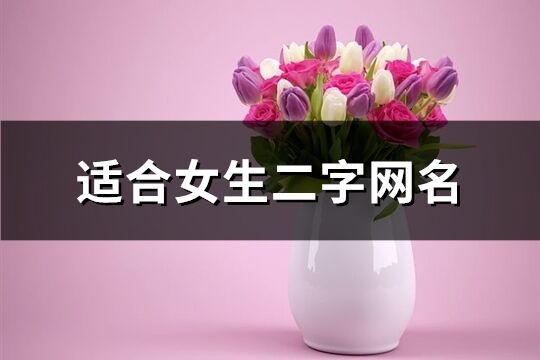 適合女生二字網名(精選2239個)