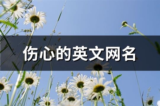 傷心的英文網(wǎng)名(共89個(gè))