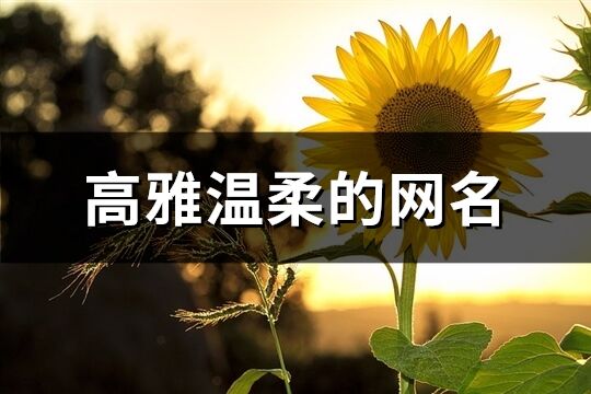 高雅溫柔的網名(共297個)