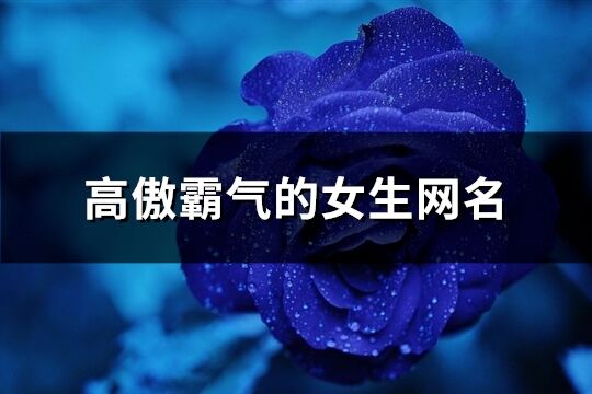 高傲霸氣的女生網名(共209個)