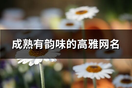 成熟有韻味的高雅網名(共961個)