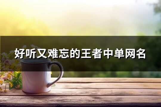 好聽又難忘的王者中單網名(優選427個)