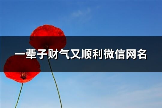 一輩子財氣又順利微信網名(共457個)