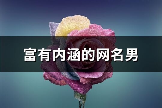 富有內(nèi)涵的網(wǎng)名男(精選374個)