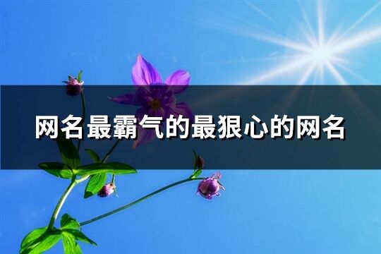 網名最霸氣的最狠心的網名(精選209個)
