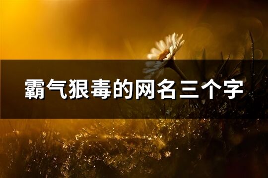 霸氣狠毒的網名三個字(優選589個)
