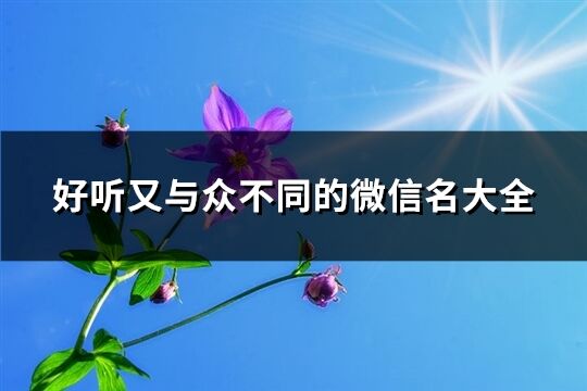 好聽又與眾不同的微信名大全(優選1033個)