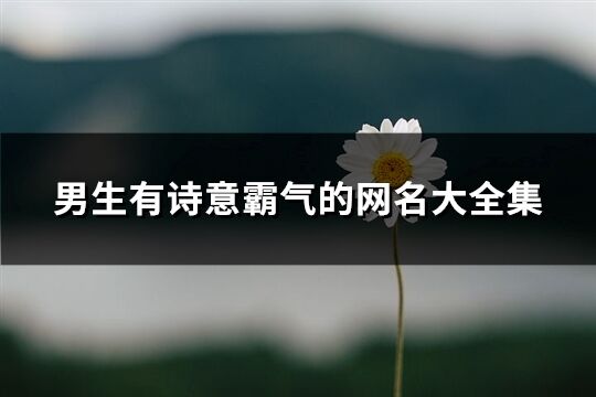 男生有詩(shī)意霸氣的網(wǎng)名大全集(共261個(gè))