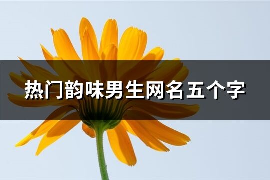 熱門韻味男生網(wǎng)名五個(gè)字(精選427個(gè))