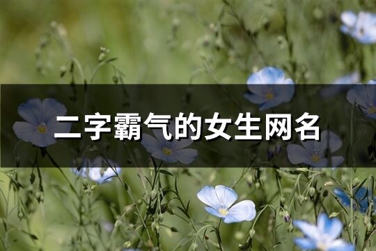 二字霸氣的女生網(wǎng)名(共551個)
