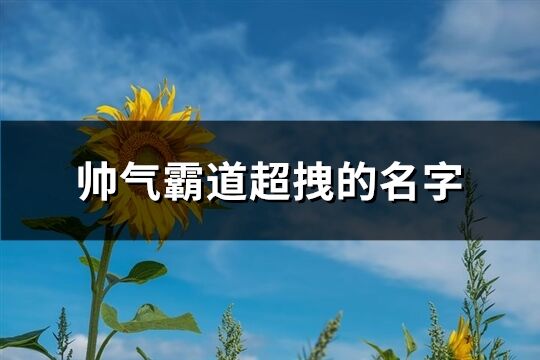 帥氣霸道超拽的名字(精選997個)