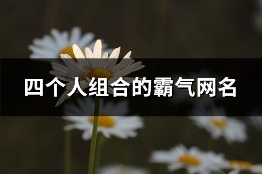 四個人組合的霸氣網名(共137個)
