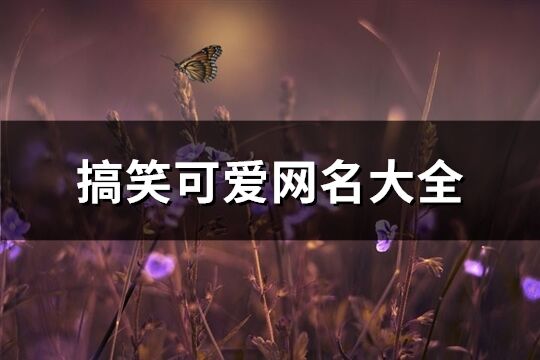 搞笑可愛網(wǎng)名大全(精選408個)