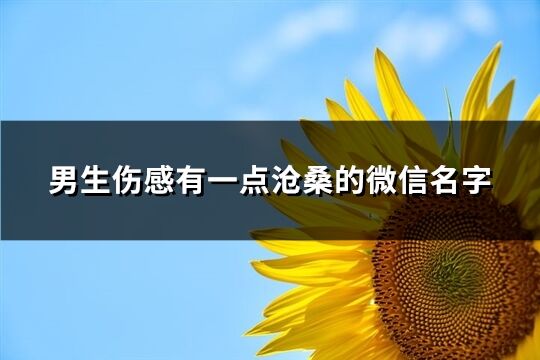男生傷感有一點滄桑的微信名字(優選452個)