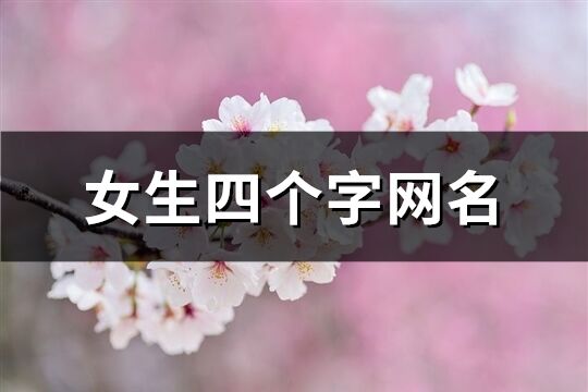 女生四個字網名(精選885個)