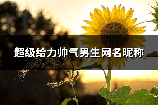 超級給力帥氣男生網名昵稱(492個)
