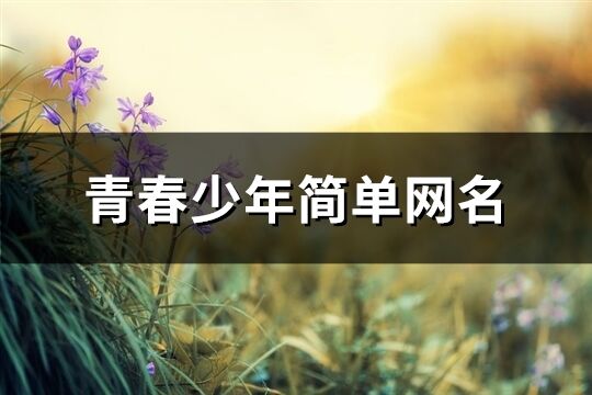 青春少年簡單網名(優選326個)