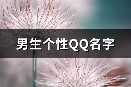 男生個性QQ名字(優選616個)