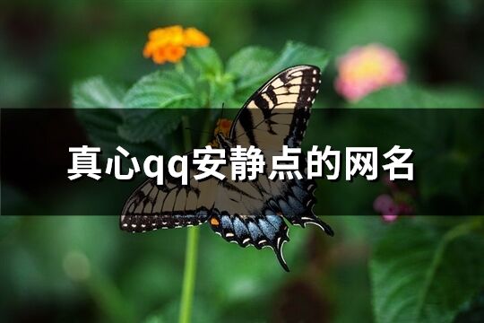 真心qq安靜點的網名(優選820個)
