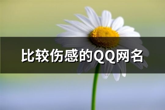 比較傷感的QQ網名(共221個)