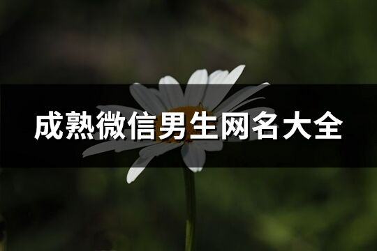 成熟微信男生網名大全(精選2211個)