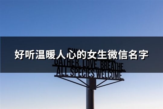 好聽溫暖人心的女生微信名字(共1070個(gè))