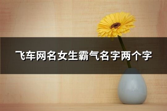 飛車網(wǎng)名女生霸氣名字兩個字(優(yōu)選272個)