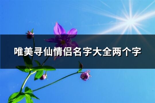 唯美尋仙情侶名字大全兩個字(優選184個)