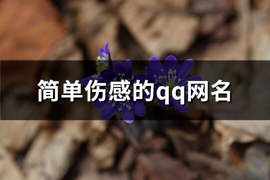 簡單傷感的qq網名(優選244個)