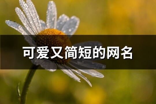 可愛又簡短的網名(優選160個)