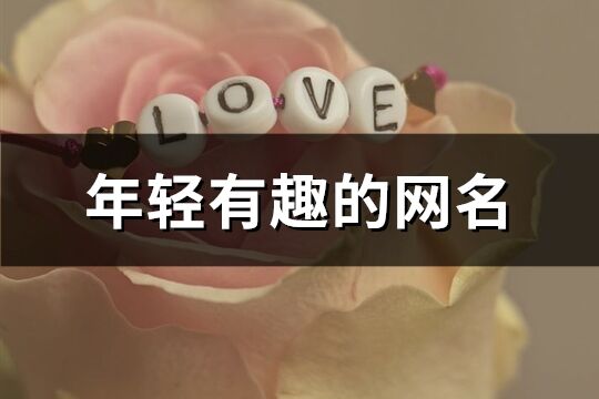 年輕有趣的網名(優選191個)