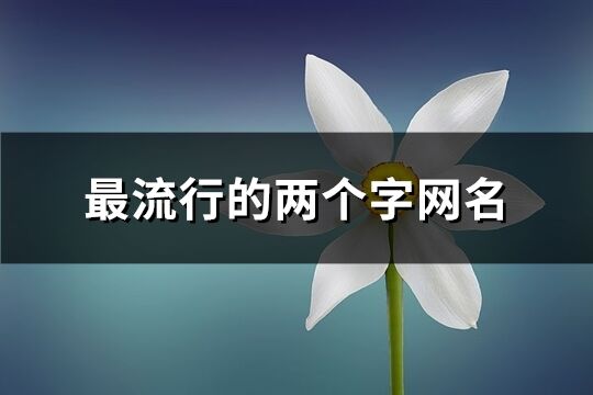 最流行的兩個字網(wǎng)名(共2540個)
