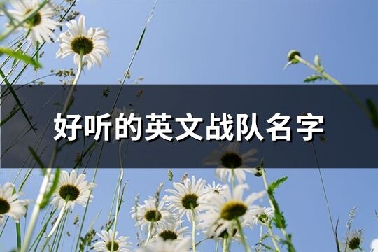 好聽的英文戰隊名字(精選110個)