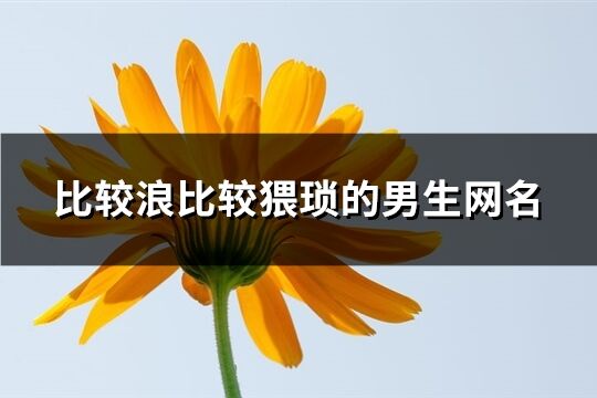 比較浪比較猥瑣的男生網名(251個)