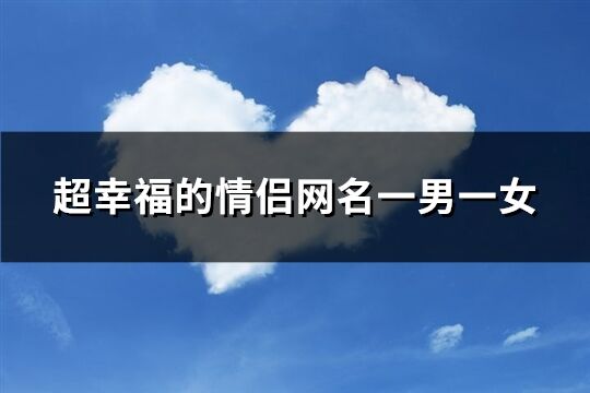 超幸福的情侶網名一男一女(精選437個)