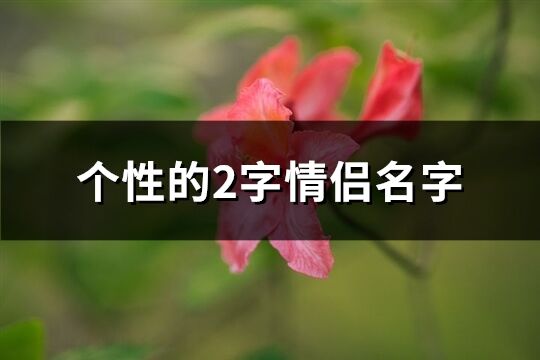 個性的2字情侶名字(345個)