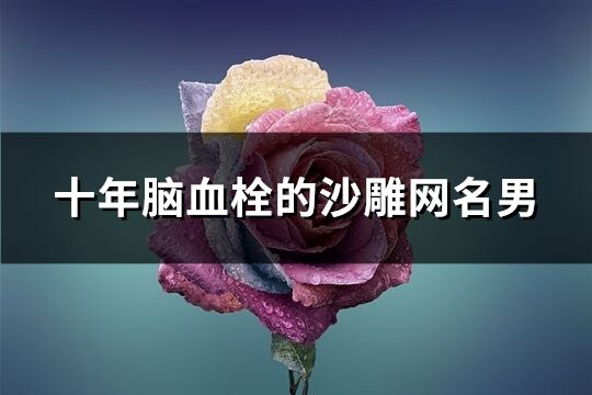 十年腦血栓的沙雕網(wǎng)名男(291個(gè))