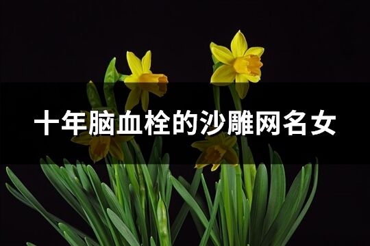 十年腦血栓的沙雕網名女(優選222個)