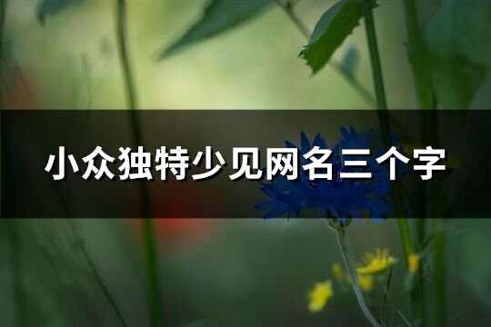 小眾獨特少見網名三個字(精選76個)