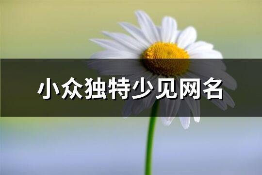 小眾獨特少見網名(268個)