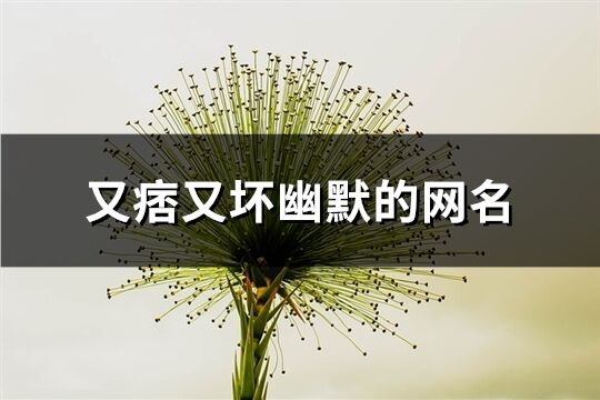 又痞又壞幽默的網名(131個)