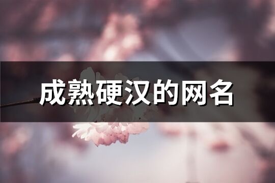 成熟硬漢的網名(173個)