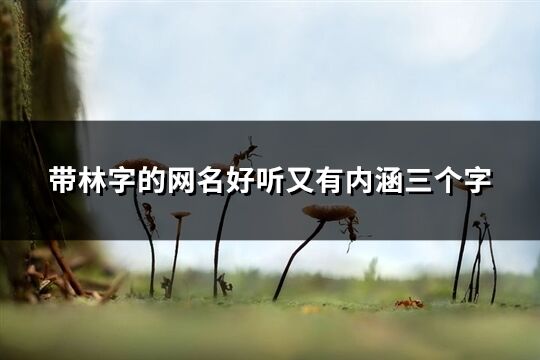 帶林字的網名好聽又有內涵三個字(163個)