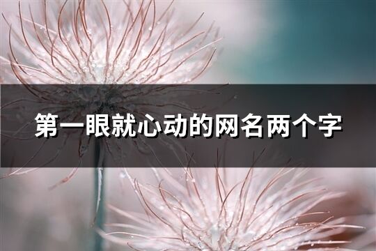 第一眼就心動的網名兩個字(優選175個)