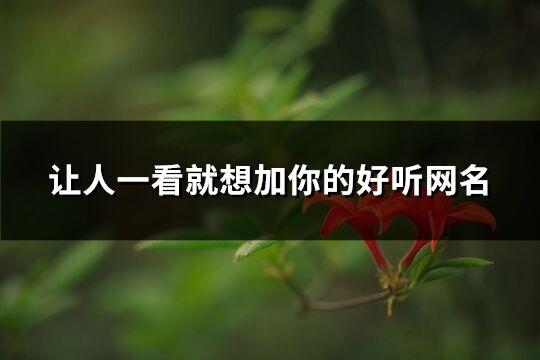 讓人一看就想加你的好聽網名(優選79個)
